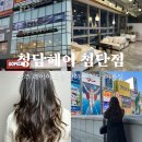 삼보약품 | 광주 레이어드펌 잘하는 광주 첨단 미용실 청담헤어 첨단점