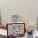 매머드익스프레스가산W | 매머드 익스프레스 프리퀀시 이벤트 후기 W/몰티즈 캐리백 후기🐻🐻‍❄️🐻🐻‍❄️
