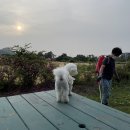 힐빙인제주 이미지