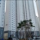 양덕동199 이미지