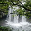 신효동-26 이미지