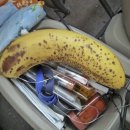 춘월농장 이미지