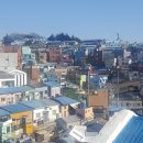 피난민의 삶이 예술이 되다 —부산 감천문화마을, 아픈 역사가 빚어낸 색채의 마을