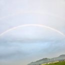 금강역 레일카페 | 반야월 연꽃 단지 근처 이색 카페 금강역 레일카페