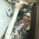 뚝심농장2 이미지