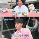 위플레이