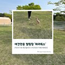 파라독스글램핑 | 반려동물 전용 캠핑장_태안 파라독스에 다녀왔콩