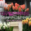 (특강)재미있는 일본어회화 네이버블로그