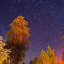 바다야 별아 이미지