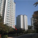 서판교로 이미지