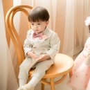 더카멜리아