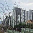 두산1차아파트101동앞 | 아파트 임장 | 방3 화2 구조 23평 아파트, 관악벽산블루밍1차 임장기