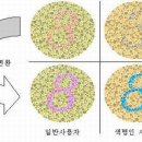 하이켐텍