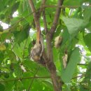 원주2목장 이미지