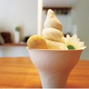 동양소프트 이미지