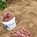 에브리데이서충주점 이미지