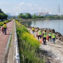 새(금호) 이미지