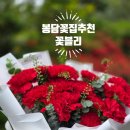 어버이날·스승의날 꽃선물은 역시 [꽃블리 화성봉담점] 봉담 꽃배달 후기
