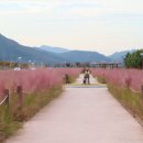 낙동야구장 2 이미지