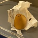 당구일번지 | 부처님이 매주 오면…