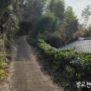 벌교 오충각 네이버블로그