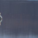 유곡천다목적캠핑장 이미지