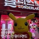 앨리스인원더랜드 | 용인중앙시장 앨리스인원더랜드 인형뽑기 성지,집게힘,영상 내돈내산 솔직후기
