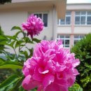 무을초등학교 이미지