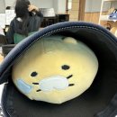돌돌이