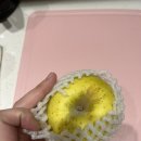 정성보따리 | [제품리뷰]백화점 사과를 집에서, 싱싱보따리 시나노골드 사과 솔직리뷰 후기,가격,정보