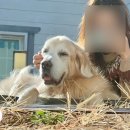 로얄동물메디컬센터 본원 이미지