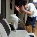 [일원3] 챗 GPT활용 생활 여행 영어 (초급) | [공지] 스픽 50일 후기( 원래는 1달 후기였다)