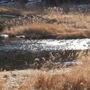 횡성 호수길 2구간 이미지