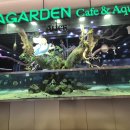 [잠실/아기랑] 🐟아쿠아가든카페 롯데월드몰점 솔직후기: 16개월 아기랑 가보니 '의자'가 너무 아쉬워요