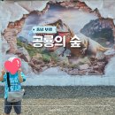 토리숲 주차장 | 대천 실내 가볼만한곳 5살 아이랑 보령 공룡의숲 뮤지엄 박물관 아기랑 함께