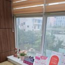 느낌좋은산부인과의원 이미지