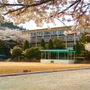 여수중앙여자고등학교 이미지