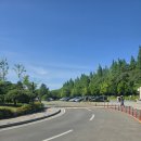 천년의정원 | 경주 무료 가볼 만한 곳, 경북 천년 숲 정원 산책 후기 🌿