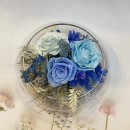[월간꽃]오전-청량감 투명화기 | KLPA 프리저브드플라워 자격증반 수업 유리볼 장식과 수국 토피어리