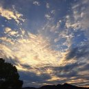 새벽노을 이미지