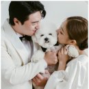유니온결혼정보 이미지