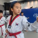 지축 타이거킥스태권도장 이미지