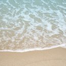 현대전자 이미지