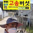 오학농장 이미지