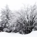 운주목장 이미지