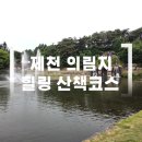 강아지와 산책 | 제천 의림지 후기 | 강아지와 함께 걷기 좋은 산책 코스 (용추폭포·유리전망대)