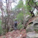 동명면사무소 이미지