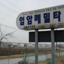 청태산막국수