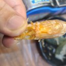 삼익아파트_하 | 부산 대신동 삼익아파트 맛집 활새우 무한리필 새우까는집 영업시간