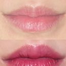 르헤르브로우 | 배곧 르헤르브로우 Leher Brow 입술 틴트 솔직후기.